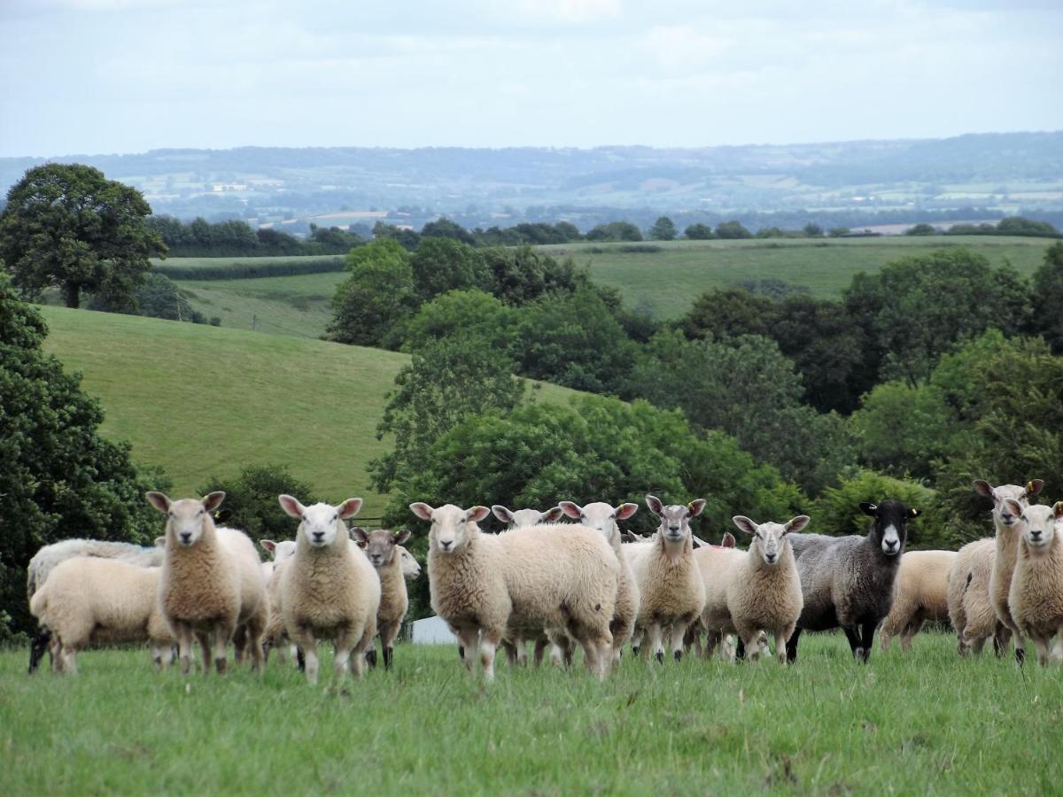 Deepaller Farm Tiverton  Buitenkant foto