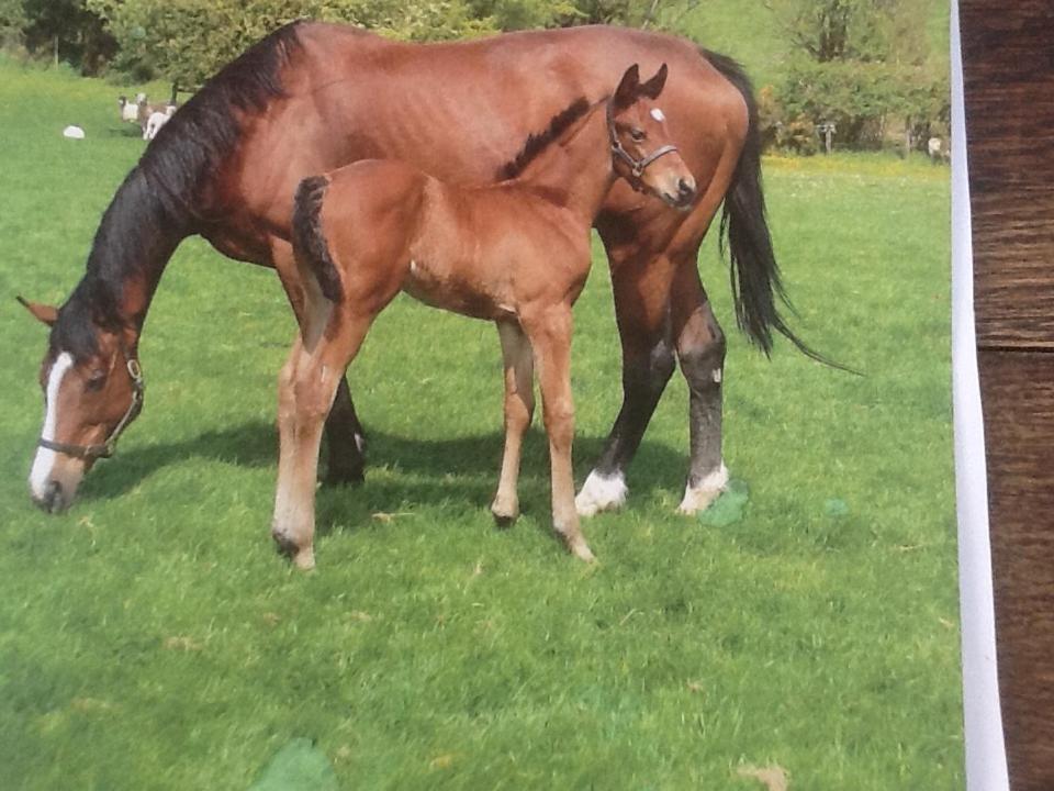 Deepaller Farm Tiverton  Buitenkant foto